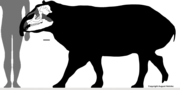 Thumbnail for Giant tapir