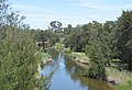 English: Castlereagh River in Mendooran, New South Wales