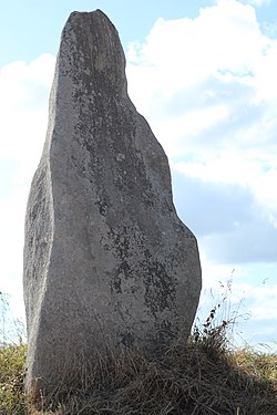 Image illustrative de l’article Menhir de Laniscar