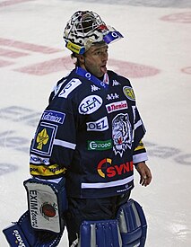 Milan Hnilička Czech ice hockey player