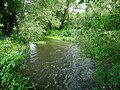 Mill Tail near Ripley.