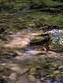 * Nomination Salsibarri stream in the Vitoria mountain range. Long exposure shot (4 s). Álava, Basque Country, Spain --Basotxerri 08:35, 2 June 2018 (UTC) * Promotion  Support Good quality. --Poco a poco 09:13, 2 June 2018 (UTC)