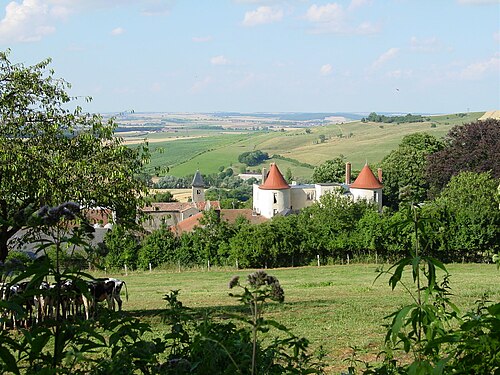 Rideau métallique Belleau (54610)