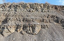 Mowry Shale exposed in a road cut, Uintah Basin, Utah. Mowry-2.jpg