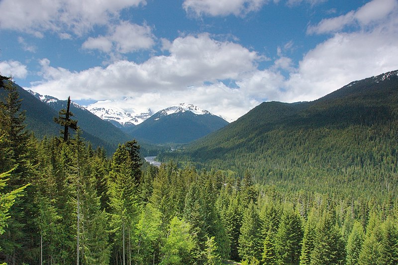 File:Mt. Rainier.jpg