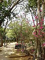 Muslim Cemetry, Chamarajanagar.jpg