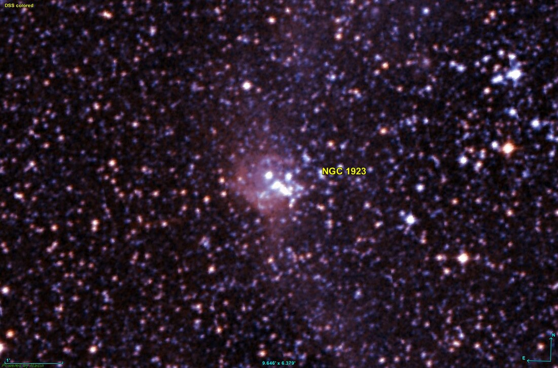 NGC 1923