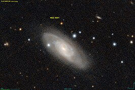 NGC 5051