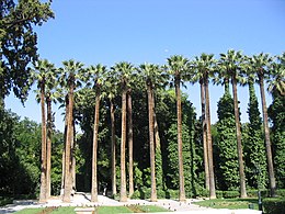 National Gardens.jpg