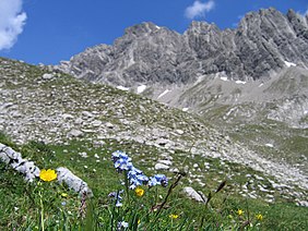 Noppenspitze.jpg