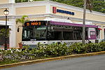 Thumbnail for Puerto Rico Metropolitan Bus Authority