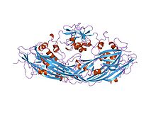 PDB 1pre EBI.jpg