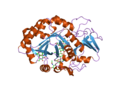 Thumbnail for File:PDB 2dsv EBI.png