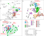 Genetic structure within European context according to three genetic systems atDNA (A), YDNA (B) and mtDNA (C) per Kushniarevich et al. (2015)