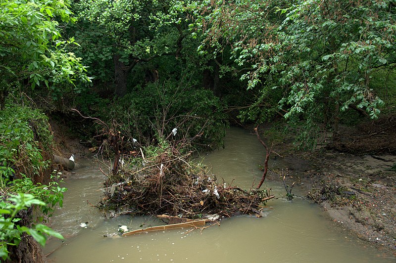 File:POVODEŇ NA BOTIČI - panoramio (25).jpg