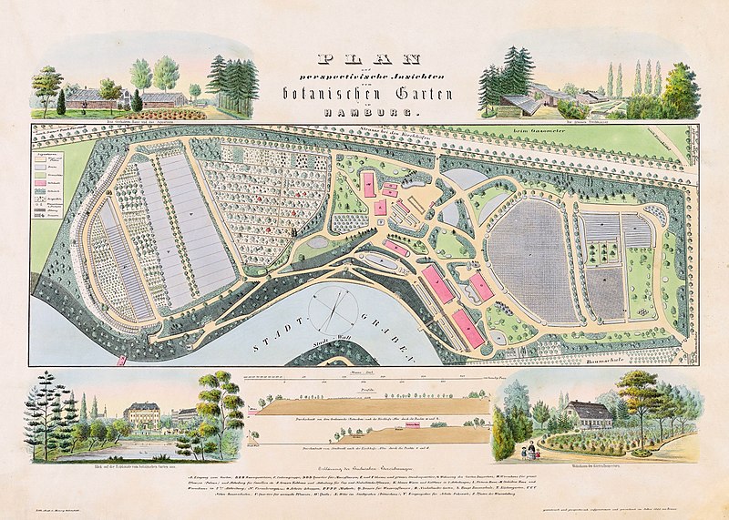 File:PPN609102680 Plan und perspectivische Ansichten vom botanischen Garten zu Hamburg.jpg