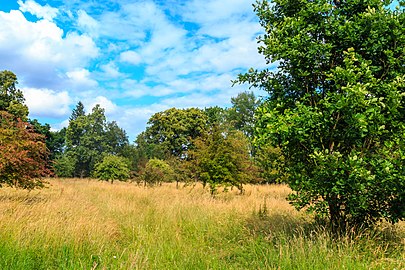 Zone naturelle protégée de Libosad.