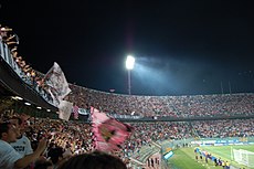 Renzo Barbera Stadion: Története, 1990-es labdarúgó-világbajnokság, A jövő elképzelései