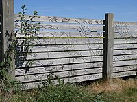Panel fence art, Farcet - geograph.org.uk - 1338072.jpg
