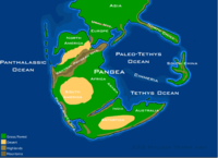 Mapa físico de Pangea basado en el de Christopher R. Scotese.