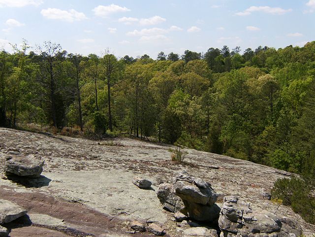 Panola Mountain State Park - Wikipedia