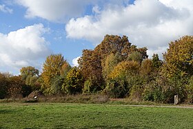 Illustrasjonsbilde av artikkelen Departmental Park of Île Saint-Germain