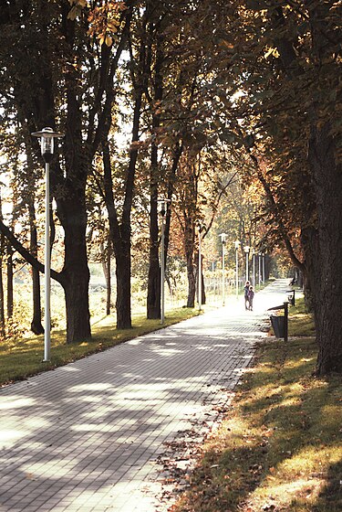 An alley in the park in Kazimierza Wielka Park Kazimierza Wielka Alejka.jpg
