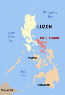 2010 Philippine House of Representatives elections in the Bicol Region