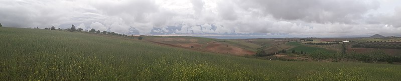 File:Photo panoramique au milieu d'un champ.jpg