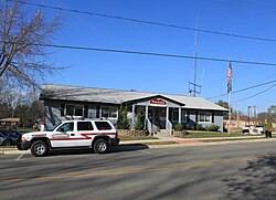 Pinckney Village Hall, S. Howell St. Pinckney Village Hall.JPG