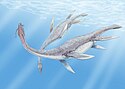 Plesiosaurus 3DB.jpg