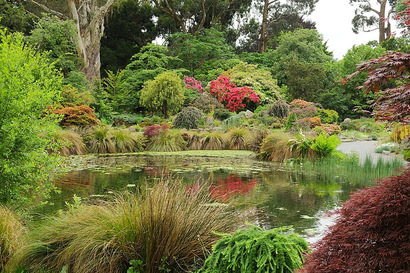 File:Pond in front of Rock Garden in Christchurch Botanic Gardens.jpg