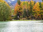 Covered bridge over the Saane