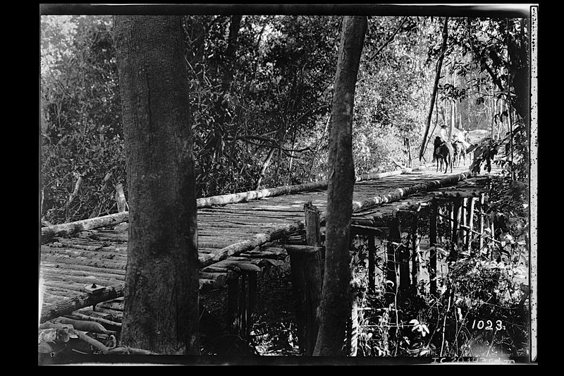 File:Ponte de Madeira sobre Igarapé - 1023, Acervo do Museu Paulista da USP.jpg