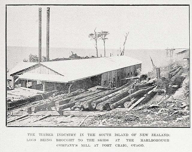 The mill mostly milled rimu, brought along the 14km tramway