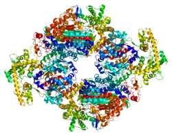 Белок APPBP1 PDB 1r4m.png