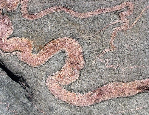 Ptygmatic folding in migmatite on Naissaar Island, Estonia