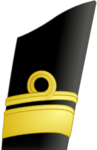 Canadian rear admiral sleeve insignia (since June 2010)