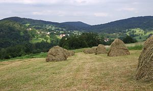 Pogórze Wiśnickie w okolicach Rajbrotu