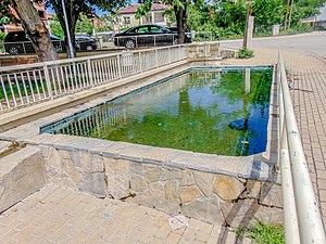 Езерце во паркот
