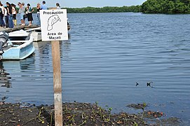 Recently installed new manatee protection sign at the Las Mareas community dock. (6218105716).jpg