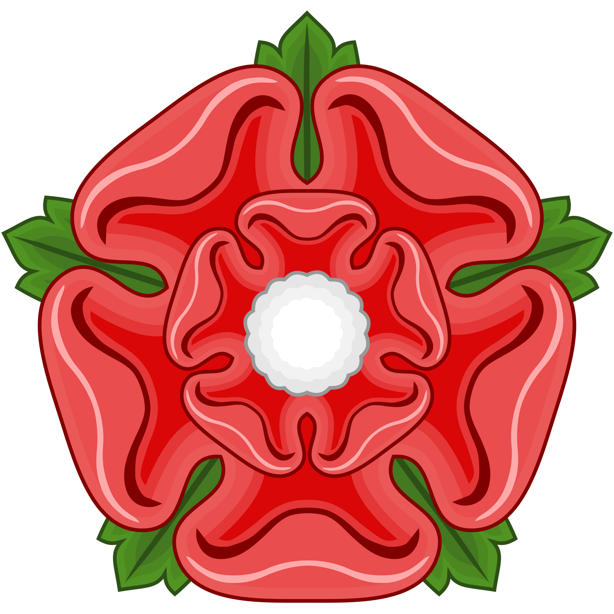 White And Red Rose Name