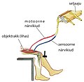 Pisipilt versioonist seisuga 12. veebruar 2024, kell 21:00