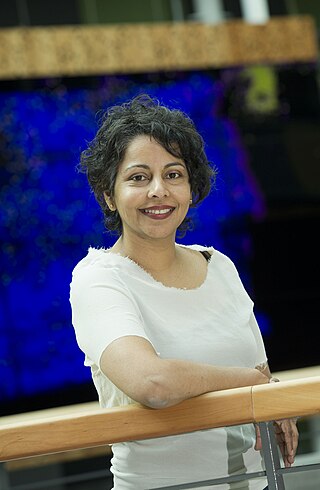 <span class="mw-page-title-main">Rhema Vaithianathan</span> Health economics researcher in New Zealand