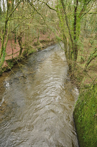 File:River Camel from viaduct west of Dunmere Halt (9563).jpg