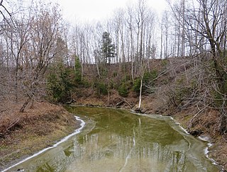 David River (Yamaska River tributary) River in Quebec, Canada