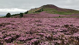 Ros Hill, Northumberland.jpg