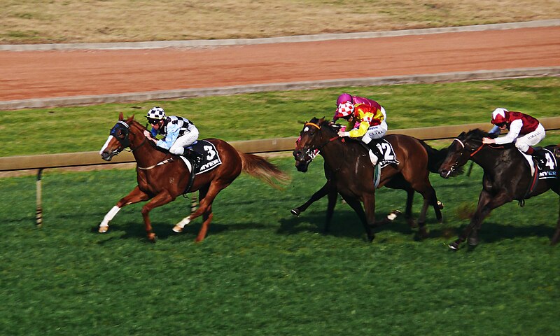 File:Rosehill Races.jpg