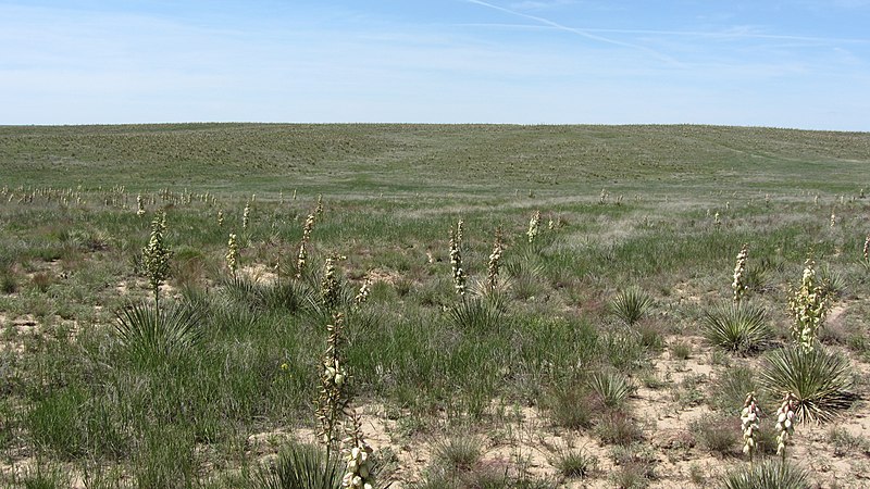 File:Ruts and swales with a marker on private land near the Cimarron National Grassland - 2 (4d9653e335b54bfca56e9aee5e1e4b42).JPG