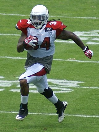 <span class="mw-page-title-main">Ryan Williams (American football)</span> American football player (born 1990)